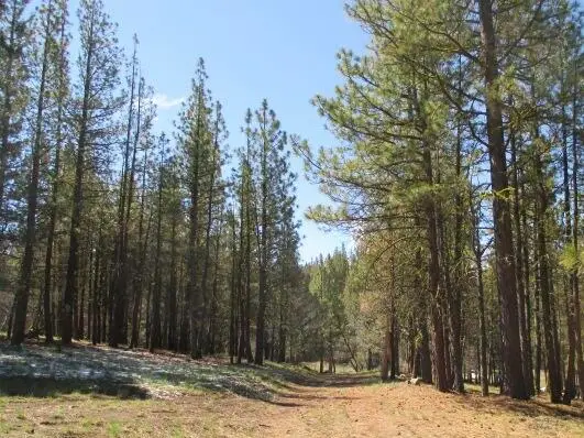 Partin Drive #2-3, Beatty, OR 97621 - Image #1