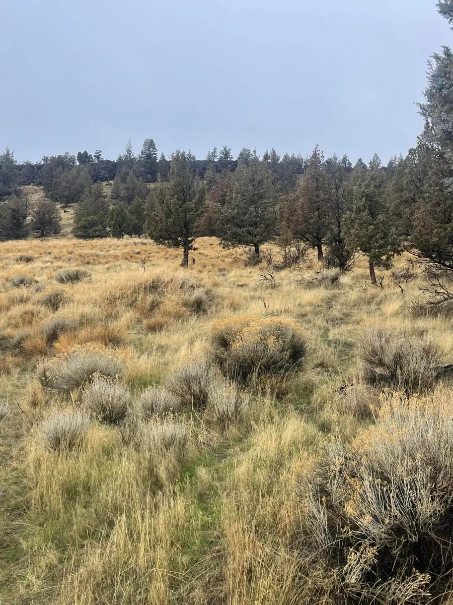 70445 NW Lower Valley Drive #100, Terrebonne, OR 97760 - Image #3