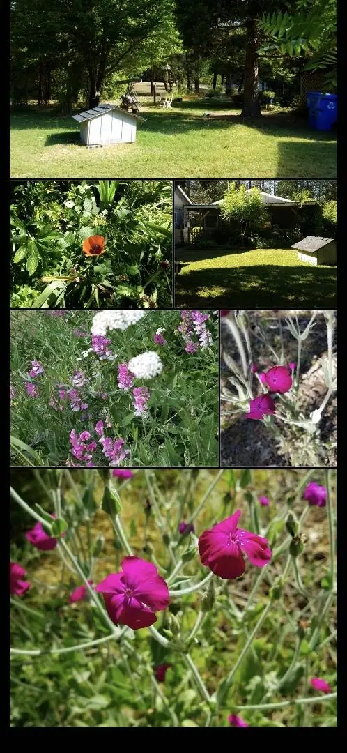 234 Penny, Grants Pass, OR 97527 - Image #3