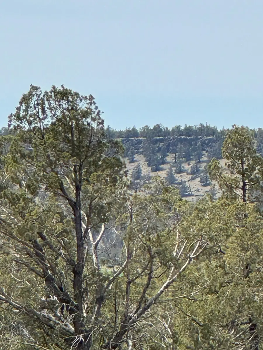 69850 NW Lower Valley Drive Nw, Terrebonne, OR 97760 - #3