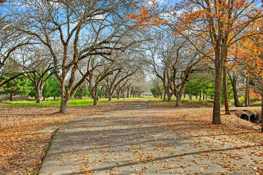 5650 Kane Creek Road, Central Point, OR 97502 - Image #3