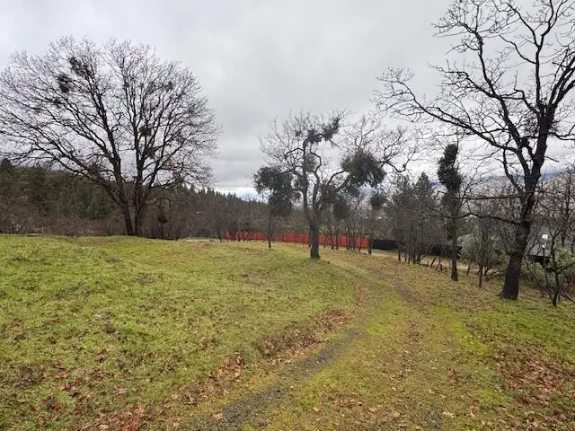 1751 Dragon Fly Lane, Ashland, OR 97520 - #2