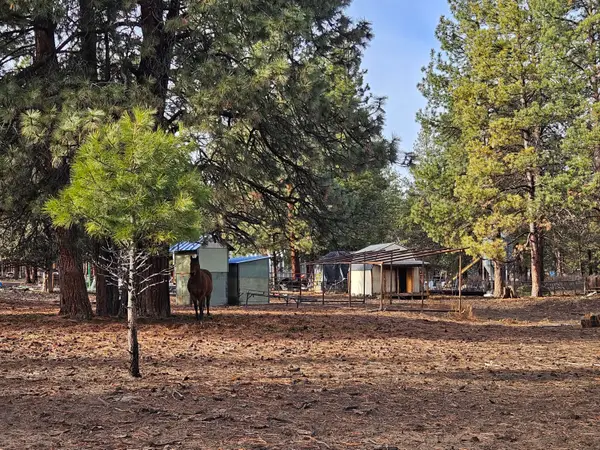 6232 Bufflehead, Bonanza, OR 97623