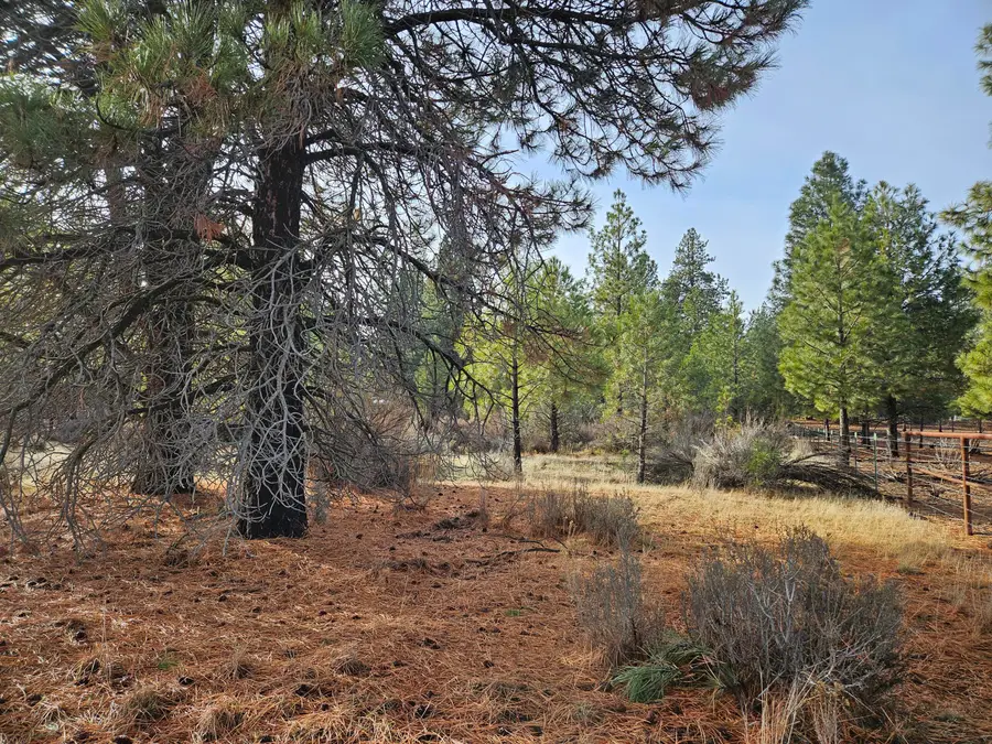 6232 Bufflehead, Bonanza, OR 97623 - Image #3