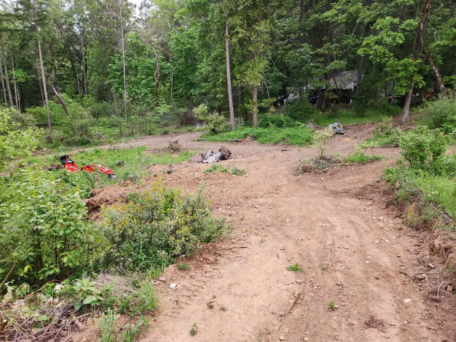 2905 Birdseye Creek Road, Gold Hill, OR 97525 - Image #3