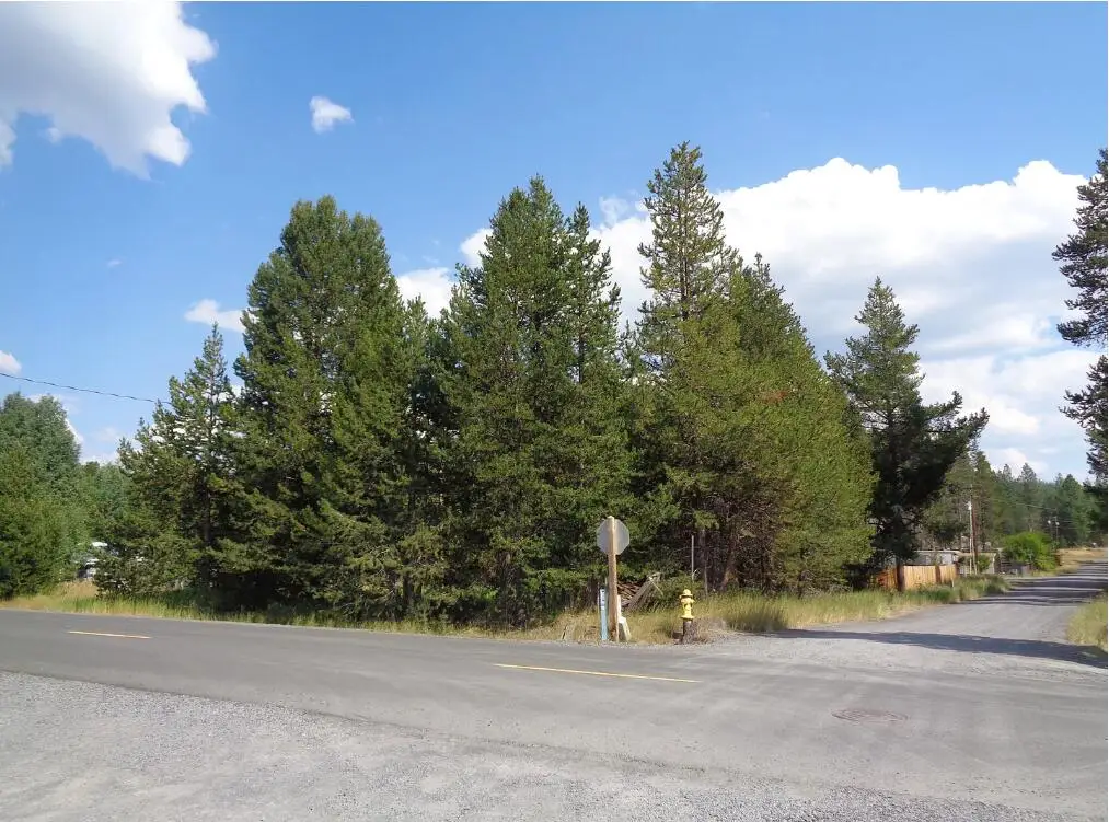 Main Street, Crescent, OR 97733 - Image #1