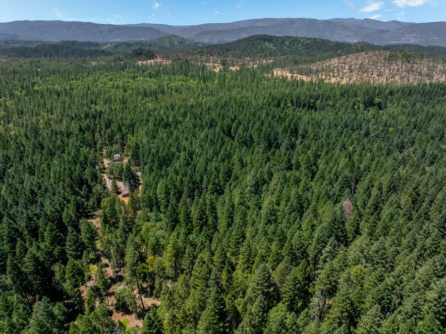 7443 Rockydale, Cave Junction, OR 97523 - Image #2