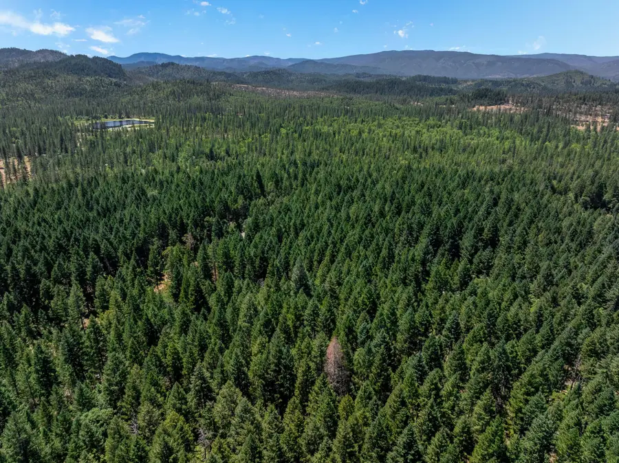 7443 Rockydale, Cave Junction, OR 97523 - Image #3