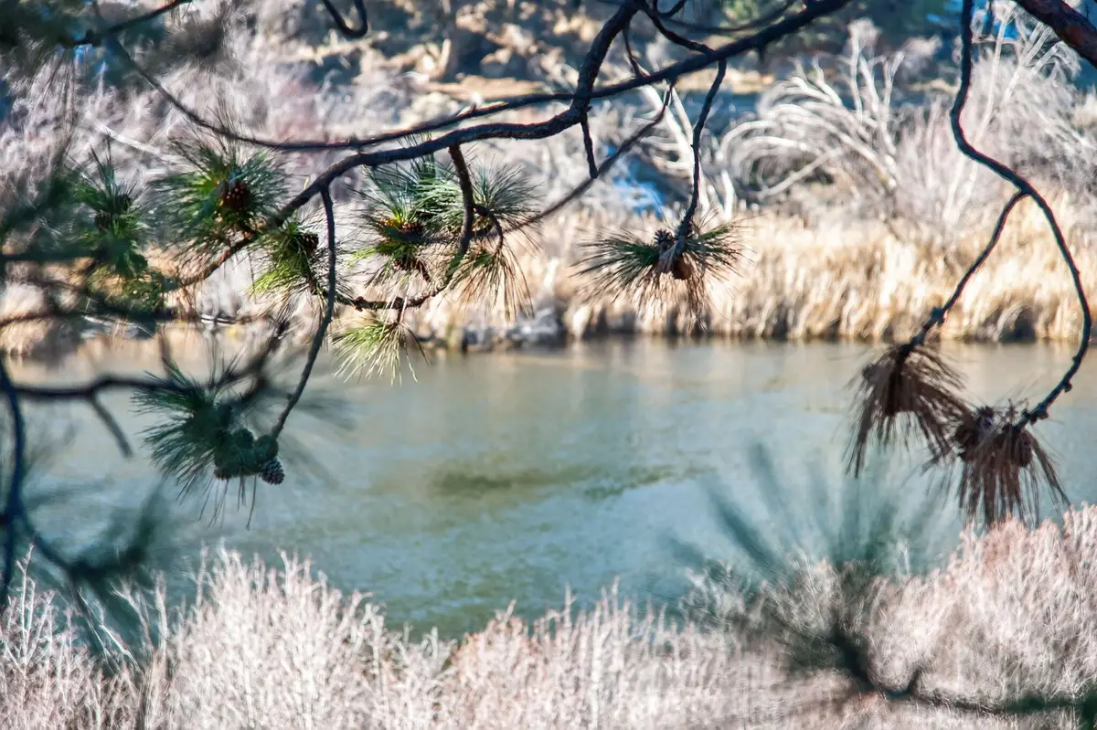 2201 NW Lakeside, Bend, OR 97703 - Image #1