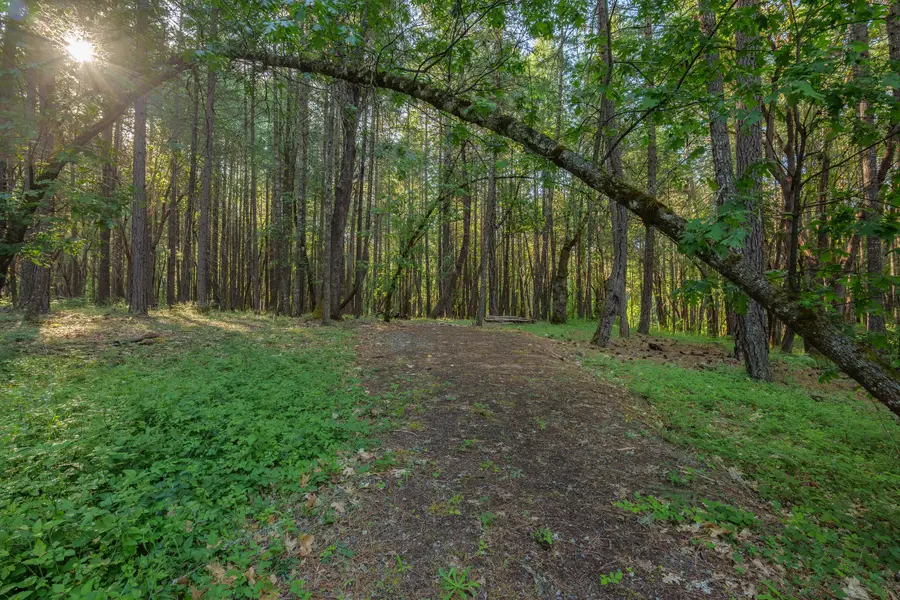 355 Firview, Wilderville, OR 97543 - Image #3