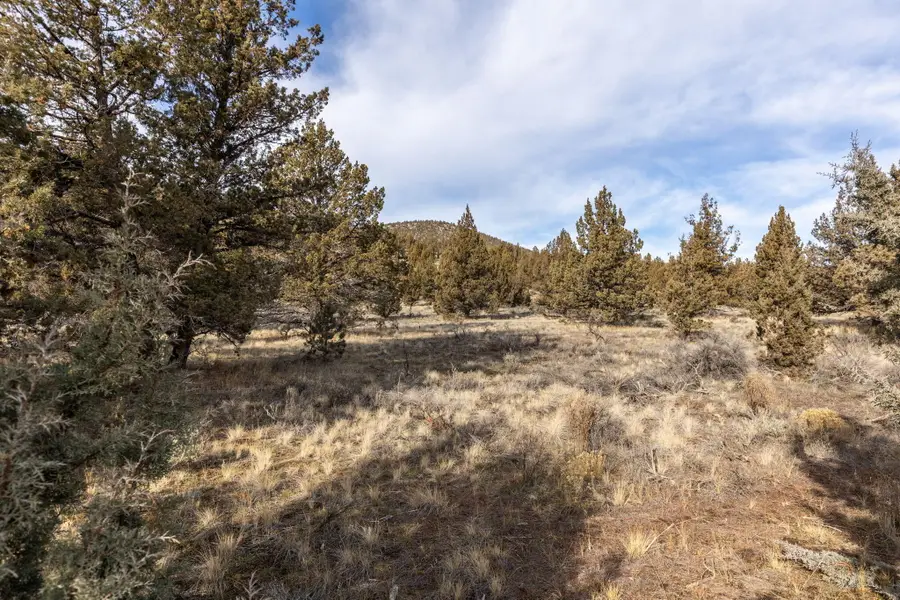 16115 SE Juniper Canyon, Prineville, OR 97754 - Image #2