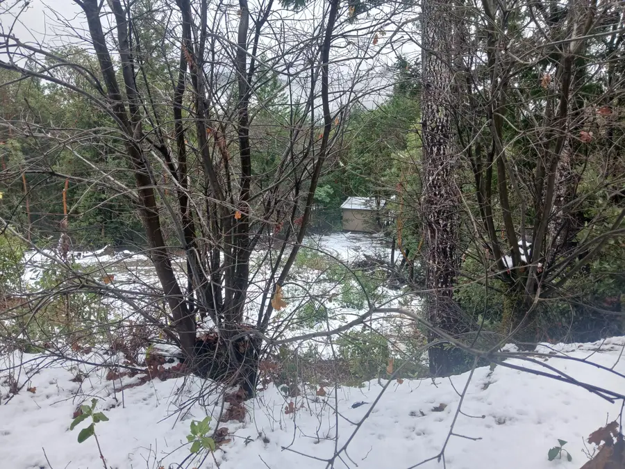 36720 Redwood, Obrien, OR 97534 - Image #2