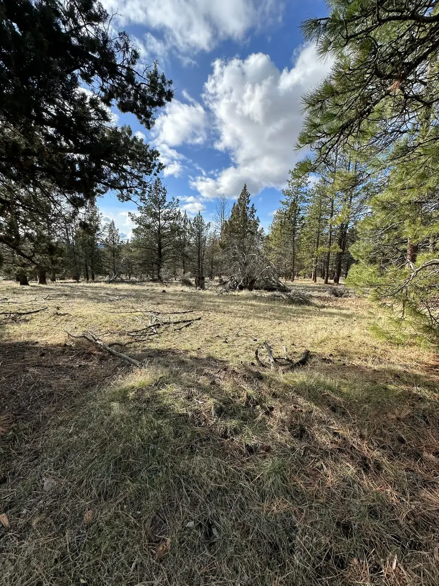 0 Widgeon Drive #Lot 3, Bonanza, OR 97623 - #3