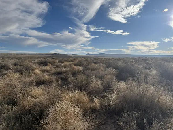 Oil Dri Road, Christmas Valley, OR 97641