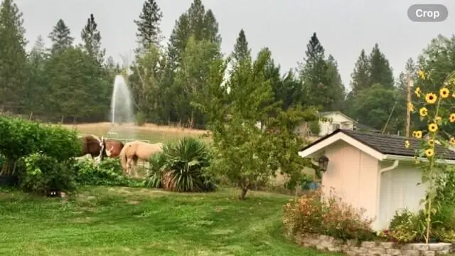 3990 Jerome Prairie, Grants Pass, OR 97527 - Image #3