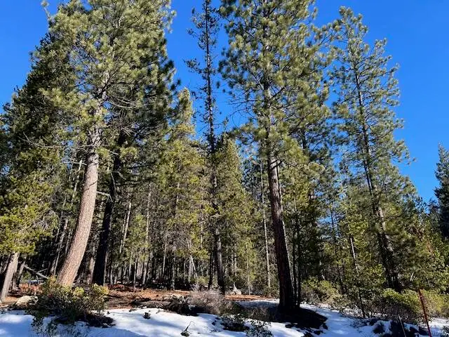 Clear Springs, Crescent Lake, OR 97733 - Image #2