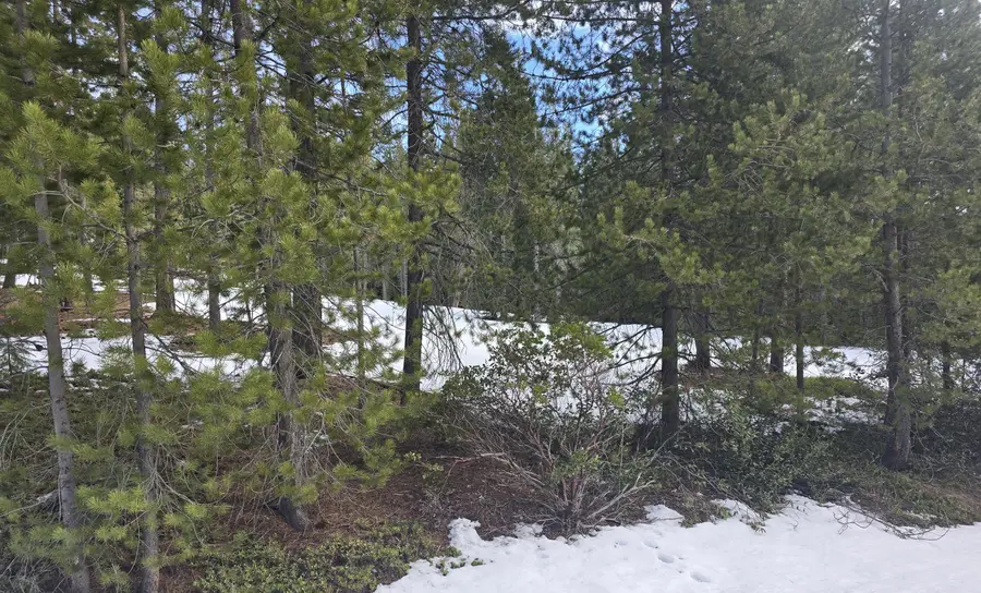 Elk Haven Way, Crescent Lake, OR 97733 - Image #2