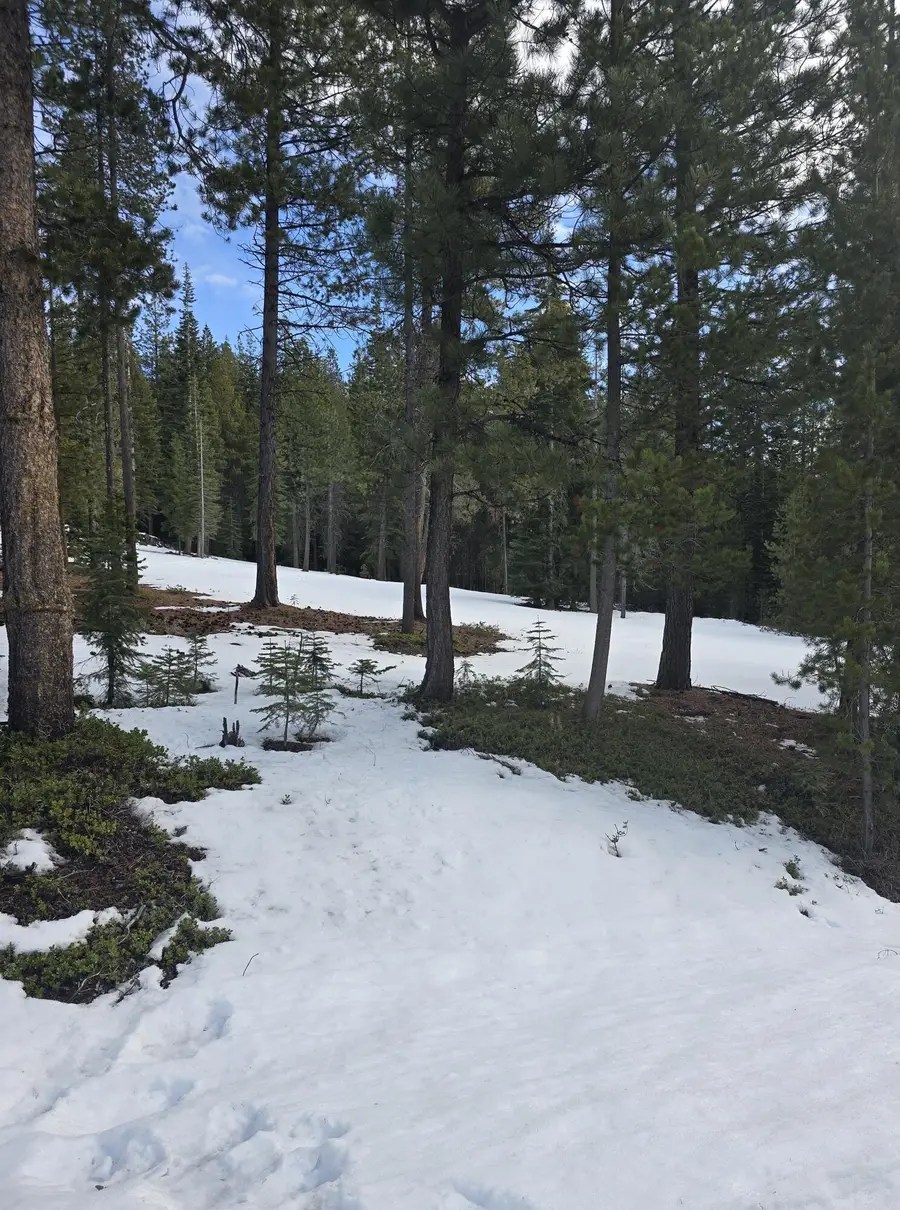 Elk Haven Way, Crescent Lake, OR 97733 - Image #3