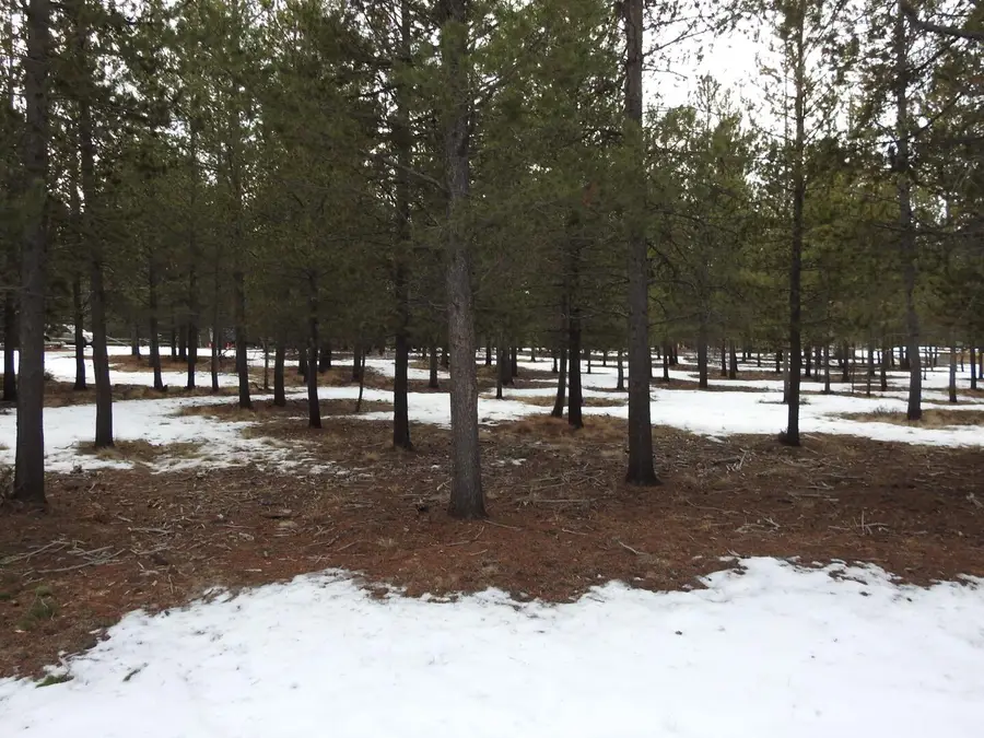Sunforestestates Block1 Lot130 Road, La Pine, OR 97739 - Image #2