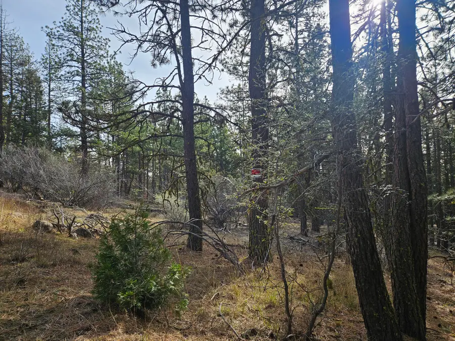 0 Seal Lane #8, Bonanza, OR 97623 - #3