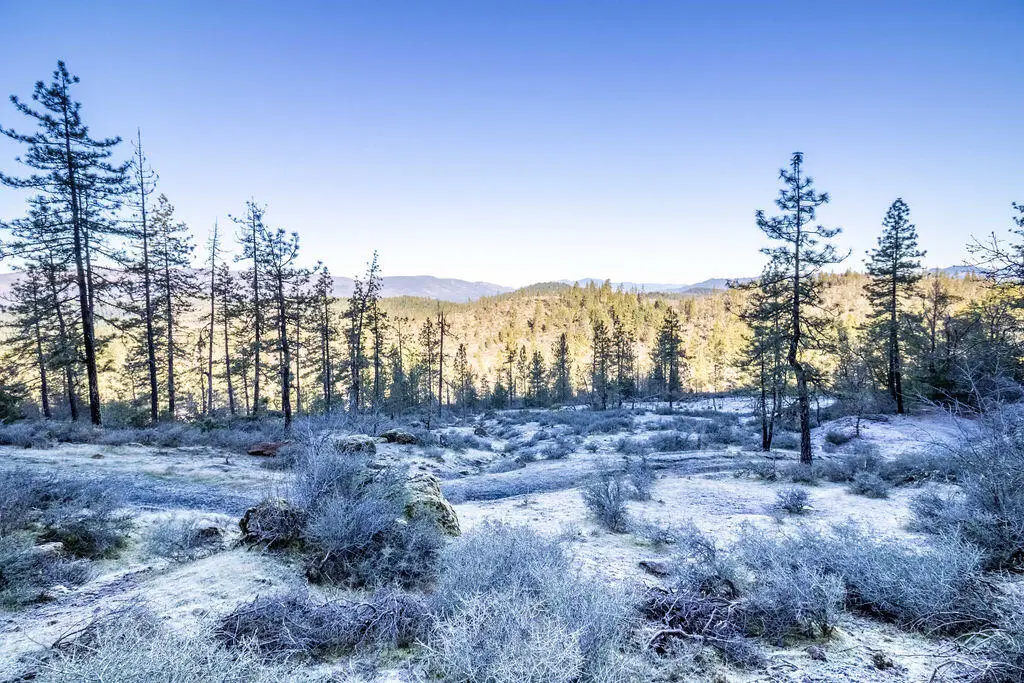 0 Waldo Road #403, Obrien, OR 97534 - Image #1