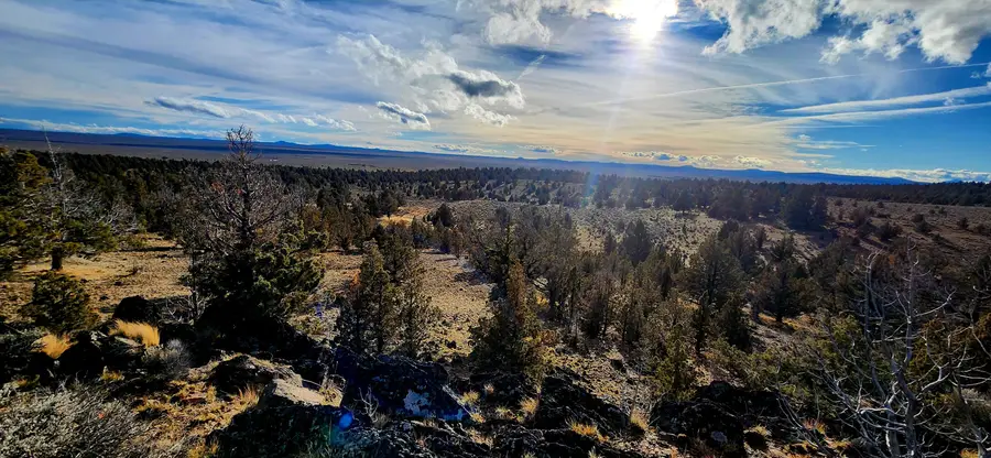 Merrill Road #TL 1800, Brothers, OR 97712 - #2