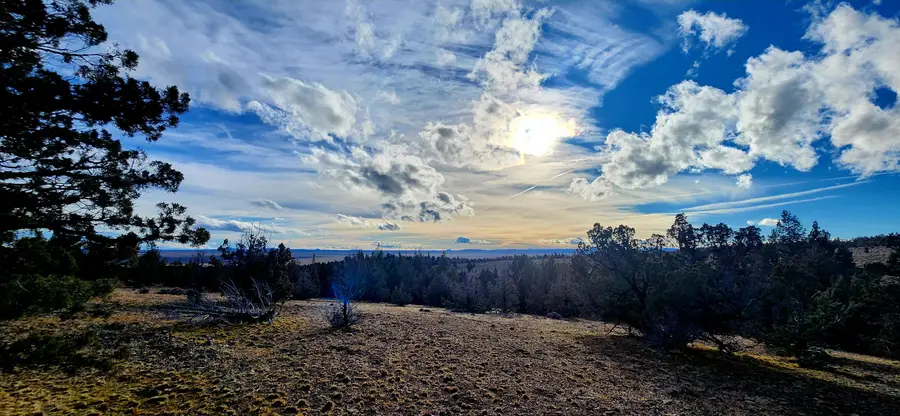 Merrill Road #TL 1800, Brothers, OR 97712 - #3