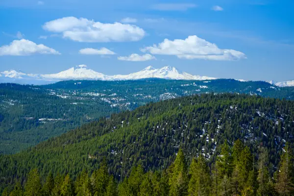 SE Opal Creek Road, Ashwood, OR 97711