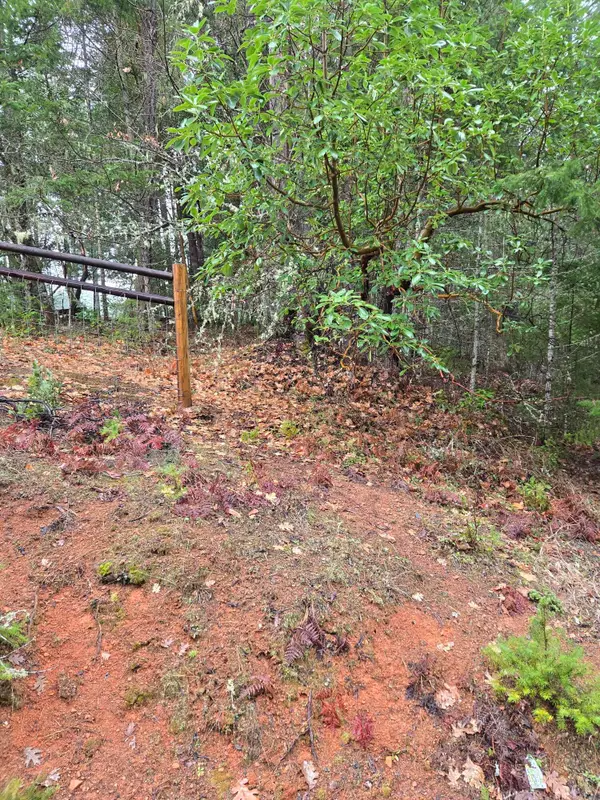 0 Mcmullen Creek Road #TL205, Selma, OR 97538