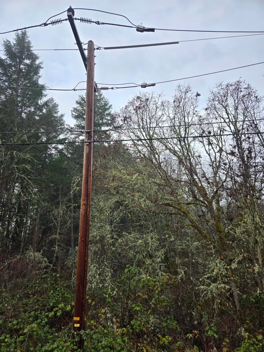 0 Mcmullen Creek Road #TL205, Selma, OR 97538 - Image #2