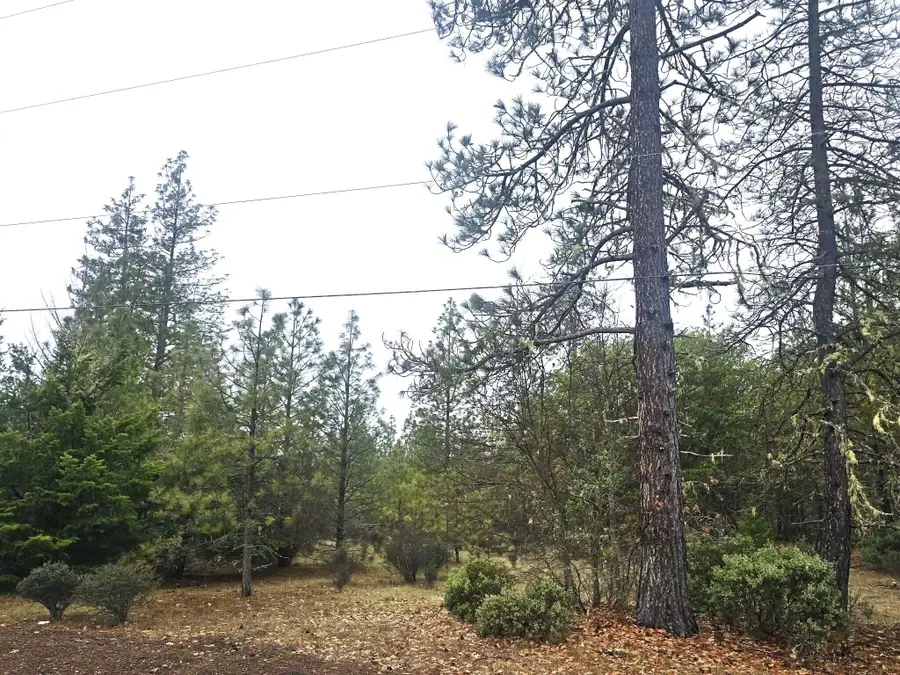 5322 Rockydale Road, Cave Junction, OR 97523 - Image #2