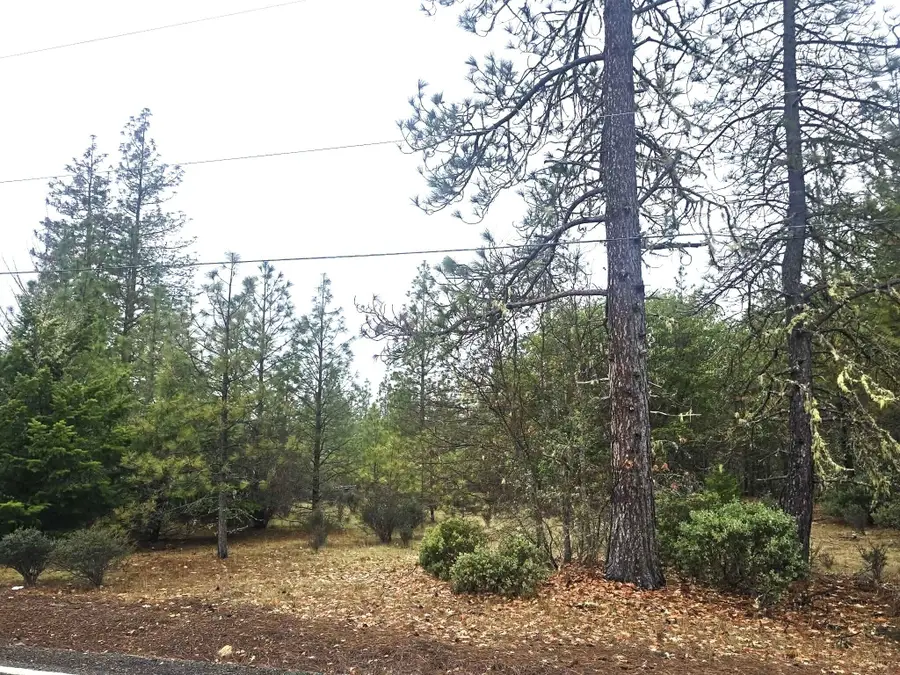 5322 Rockydale Road, Cave Junction, OR 97523 - Image #3