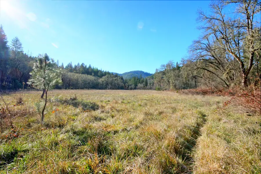 5000 Thompson Creek Road, Applegate, OR 97530 - #3