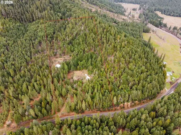 4202 Upper Cow Creek Road, Azalea, OR 97410