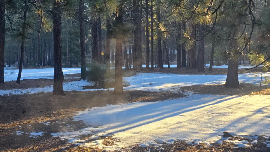 14790 Lichen Way, La Pine, OR 97739 - #2