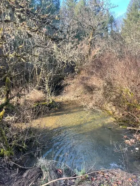 200 Hogue Drive, Selma, OR 97538