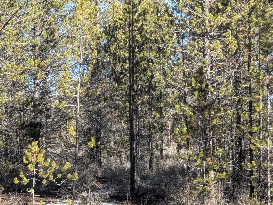 Tl 211107b000108, Tl 211106c00, Bend, OR 97707 - #2