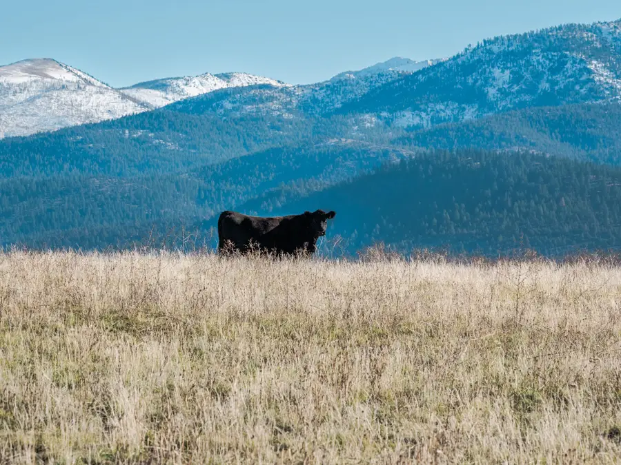 311 NE 7th Street, John Day, OR 97845 - #2