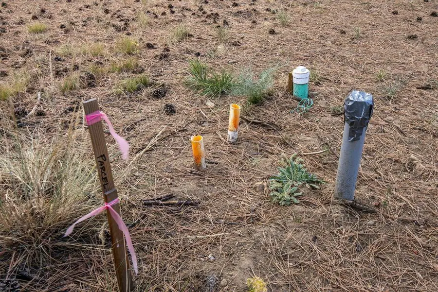 691 S Elm Street, Sisters, OR 97759 - #3