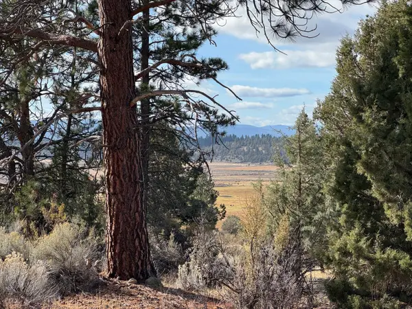 0 Quarry Circle #17, Beatty, OR 97621