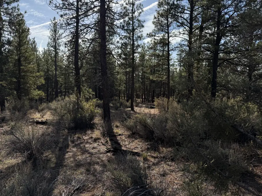 0 Pheasant Lane #9, Chiloquin, OR 97624 - Image #3