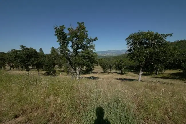 3567 S Stage Road #lot 7, Medford, OR 97501 - #2
