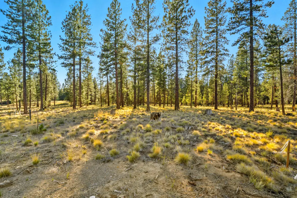 Elk Run Drive #528, Bend, OR 97707 - #1