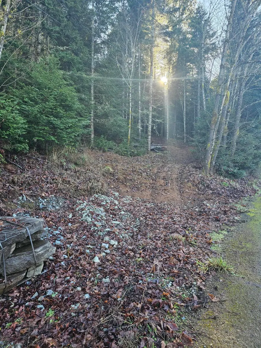 342 5th Street, Glendale, OR 97442 - #3