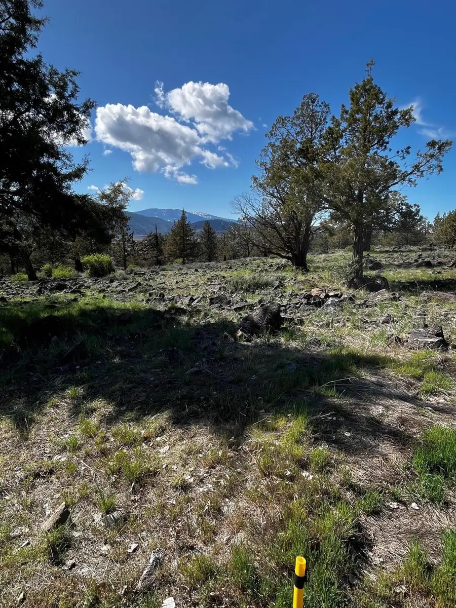 0 Fox Sparrow Drive #1124, Klamath Falls, OR 97601 - #3