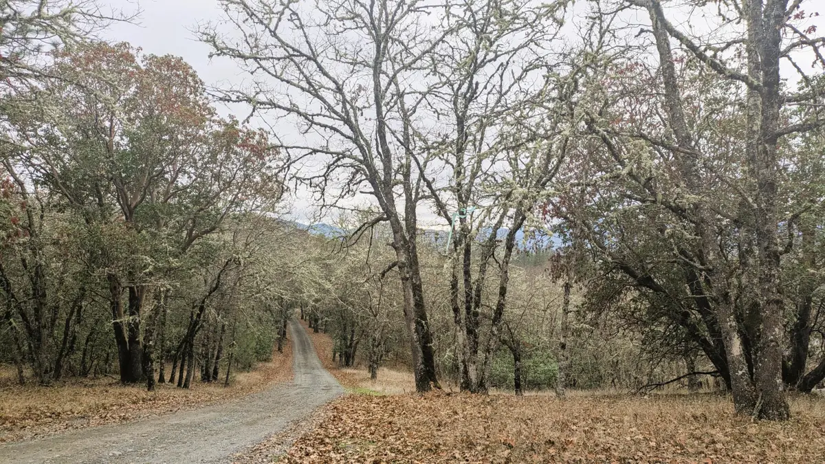 00 Azalea Drive Cut Off Drive #1100,609, Grants Pass, OR 97526 - Image #1