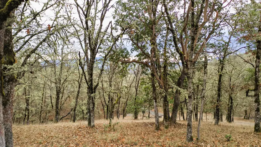 00 Azalea Drive Cut Off Drive #1100,609, Grants Pass, OR 97526 - Image #3