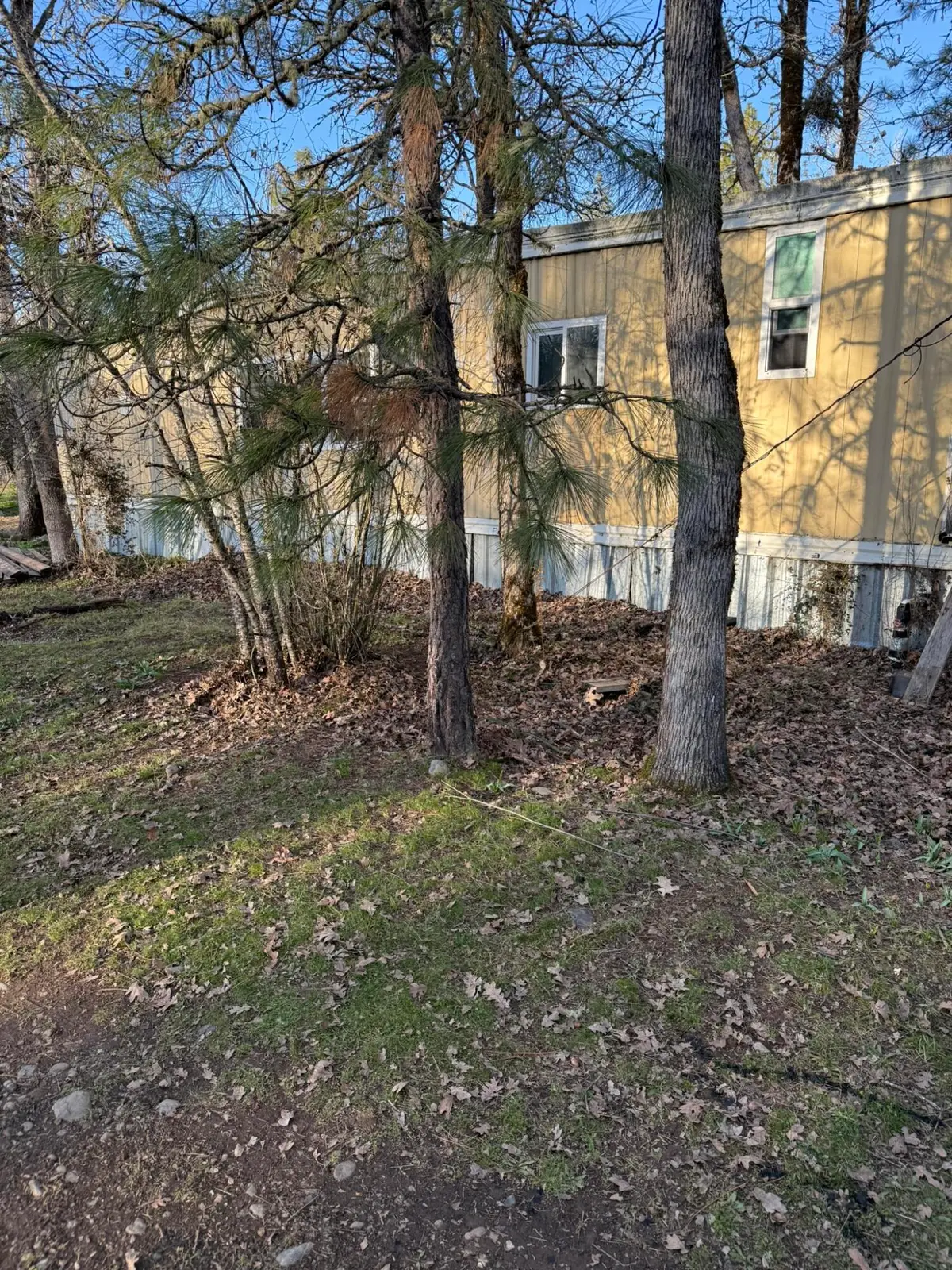 3759 Dick George Road, Cave Junction, OR 97523 - Image #1