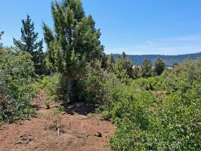 Crossbill Drive #995, Klamath Falls, OR 97601 - #1