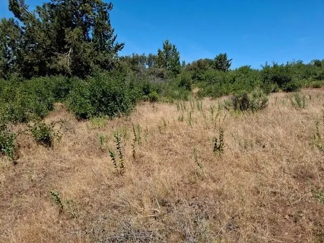 Crossbill Drive #995, Klamath Falls, OR 97601 - #3